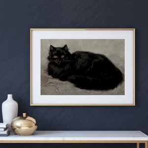 Pode incluir: Um gato preto com olhos amarelos est&aacute; deitado em um fundo cinza claro. O gato tem uma pelagem longa e fofa e est&aacute; olhando diretamente para o espectador.
