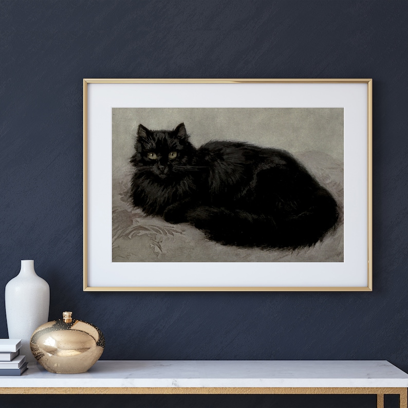 Pode incluir: Um gato preto com olhos amarelos est&aacute; deitado em um fundo cinza claro. O gato tem uma pelagem longa e fofa e est&aacute; olhando diretamente para o espectador.