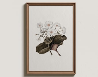 Vintage Blumen Zeichnung Kunstdruck: Minimalistische Bauernhaus Dekor (Digital Printable)