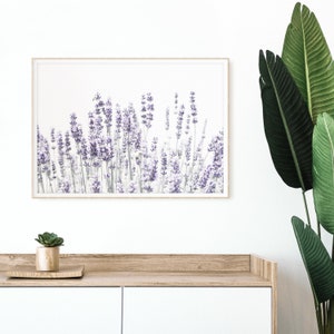 Lavender Print, Farmhouse Wall Art, DIGITAL DOWNLOAD, Botanical Print ...