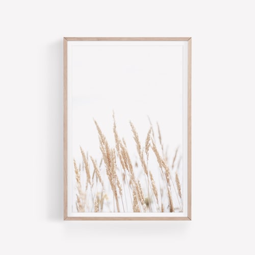 Dried Grass Wall Art Botanical Print Neutral Wall Decor Etsy