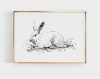 Vintage Rabbit Drawing, Farmhouse Nursery Wall Art, Easter Wall Decor, Digital Printable