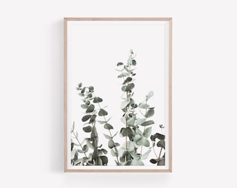 Eucalyptus Print, Botanical Wall Art, DIGITAL DOWNLOAD, Green Plant Poster, Farmhouse Wall Art, Instant Download, Digital Printable Wall Art