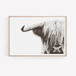 Highland Kuh Digitaldruck, Tierportraits, Kinderzimmer Wandkunst, Boho Highland Kuh Poster, Tierfotografie, Instant Download