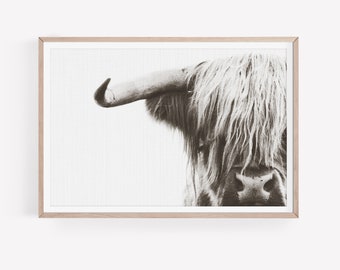 Impression numérique de vache Highland, portraits d'animaux à imprimer, art mural pour chambre d'enfant, affiche vache Highland Boho, photographie animalière, téléchargement immédiat