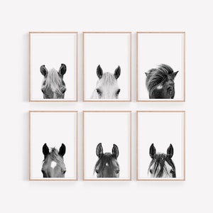 Horse Portraits Prints Set, Farmhouse Set of 6 Wall Art, Black and White Horse Photography, Digital Printable