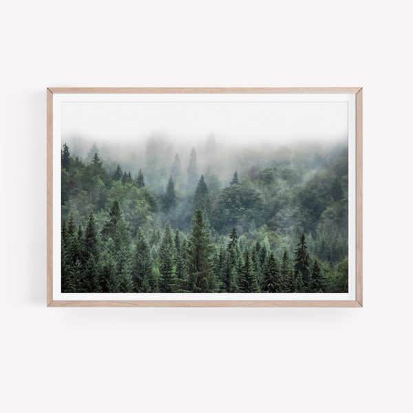 Forest Print PRINTABLE WALL ART Scandinavian Wall Decor Nordic Poster Foggy Forest Printable Nature Photography Digital Download