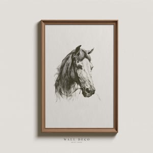 Vintage Horse Portrait Drawing: Equestrian Sketch Art (Digital Download)