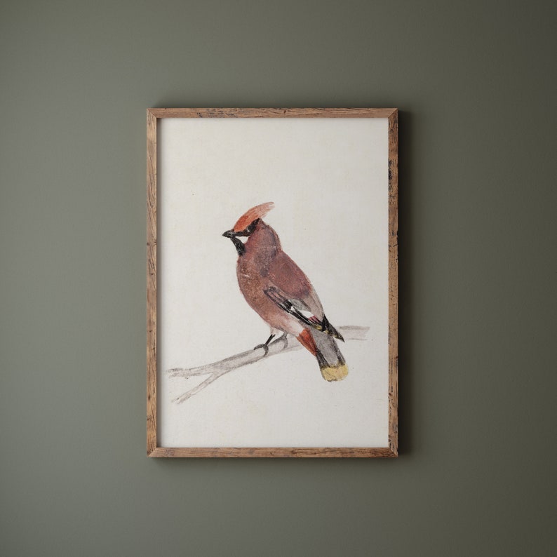 Vintage Bird Cardinal Watercolor Painting, Rustic Winter Bird Art Print, Antique Christmas Holiday Digital Printable Wall Decor image 5
