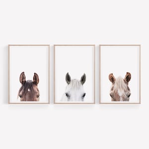 Conjunto de 3 gravuras de cavalos, conjunto de arte de parede com retratos de cavalos, DOWNLOAD DIGITAL, conjunto de gravuras de animais de fazenda, conjunto de 3 artes de parede, conjunto de 3 gravuras de fazenda