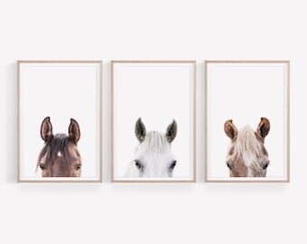 May include: Three framed prints of horse heads, each with a different color coat: brown, white, and light brown. The horses are looking directly at the viewer.