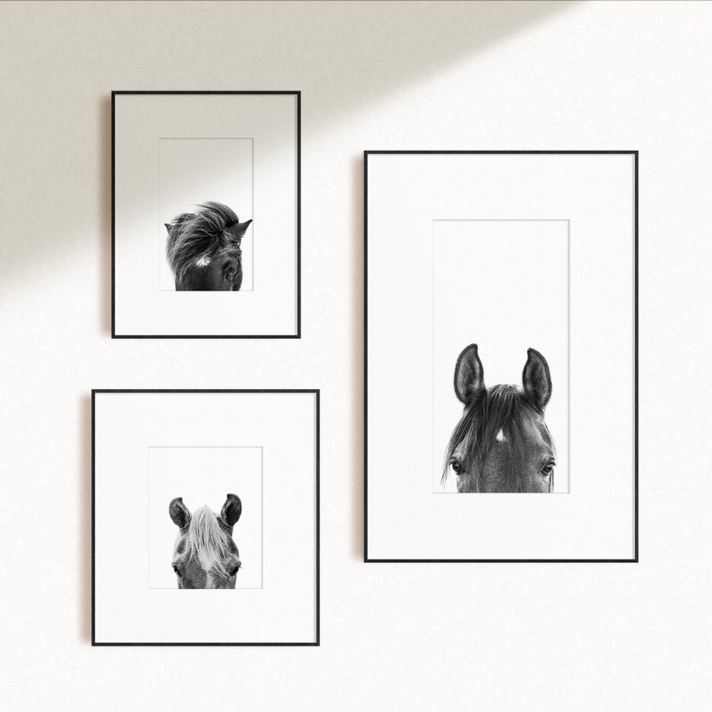 Set of 3 Black and White Horses Prints Horse Photography Etsy