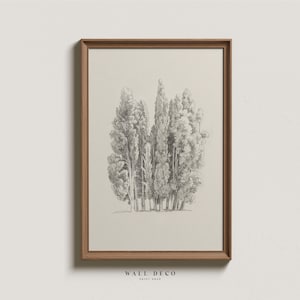 Hand-Drawn Trees Fine Art Print, Neutral Vintage Tree Sketch, Minimalist Forest Wall Art, Modern Farmhouse Digital Printable Wall Decor