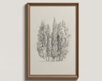 Vintage Tree Sketch Art Print: Neutral Forest Wall Decor (Digital Download)