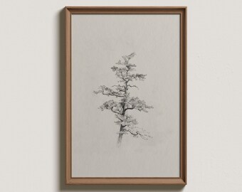 Vintage Pine Tree Sketch Print: Minimalist Farmhouse Wall Art (Digital Printable)