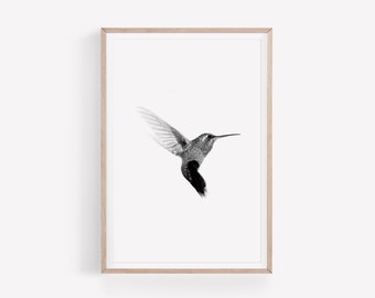 Black and White Hummingbird Print, Bird Photography, Scandinavian Wall Art, Minimalist Printable, Instant Download, Digital Printable Art