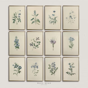 Ensemble botanique bleu vintage de 12 impressions, art mural de la galerie de fleurs anciennes, ensemble d'impressions de maison de campagne française, impression numérique floral bleu