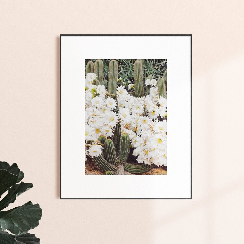 Cactus Print, Desert Cactus Wall Art, DIGITAL DOWNLOAD, Boho Wall Decor, Botanical Printable, Instant Download, Wall Art Print image 3