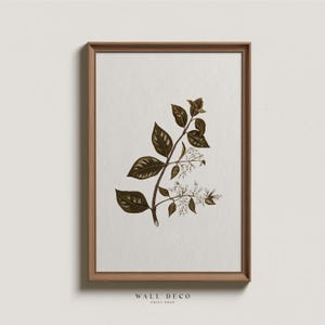 Vintage Floral Drawing, Neutral Flowers Print, Minimalist Botanical Illustration, Digital Printable Wall Decor, Modern Farmhouse Wall Art