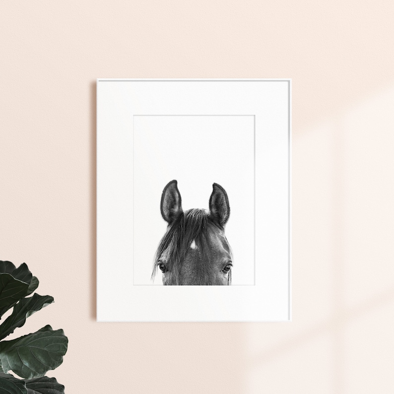 Set of 3 Black and White Horses Prints Horse Photography Etsy