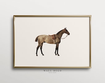Lámina artística vintage de caballos: decoración de pared estilo casa de campo (impresión digital)