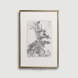 May include: A framed wall art print featuring a detailed black and white ink drawing of a single pine tree with exposed roots and textured branches. The artwork is encased in a thin metallic gold frame, centered on a plain white background.