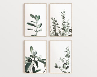 Lot de 4 impressions botaniques, art mural botanique, téléchargement numérique, impression d'eucalyptus, art mural plante verte, art mural numérique imprimable