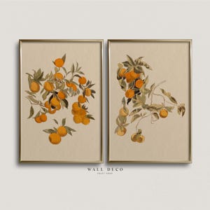 Orange Watercolor Painting, Set of 2 Farmhouse Kitchen Prints, Vintage Orange Tree Painting, Mediterranean Kitchen Wall Decor, Printable Art