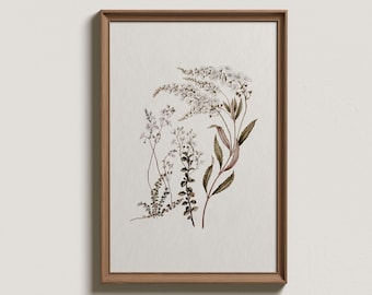 Vintage Blumenbild: Neutrale botanische Zeichnung, Bauernhaus, Wandbild (digitaler Download)