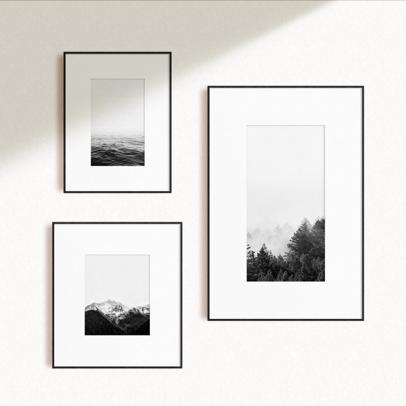 Set of 3 Black and White Nature Prints Set of 3 Wall Art Etsy Canada