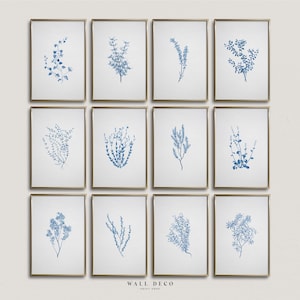 Vintage Botanical Print Set: Blue Floral Sketch Art, French Country Decor (Digital Download