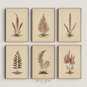 Vintage Botanical Gallery Wall, Set of 6 Neutral Floral Cottage Minimalist Art Prints, Modern Farmhouse Digital Printable Wall Decor