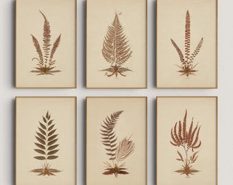 Vintage Botanische Galerie Wand Kunst Drucke: Neutrale minimalistische Bauernhaus Dekoration (Digitaler Download)