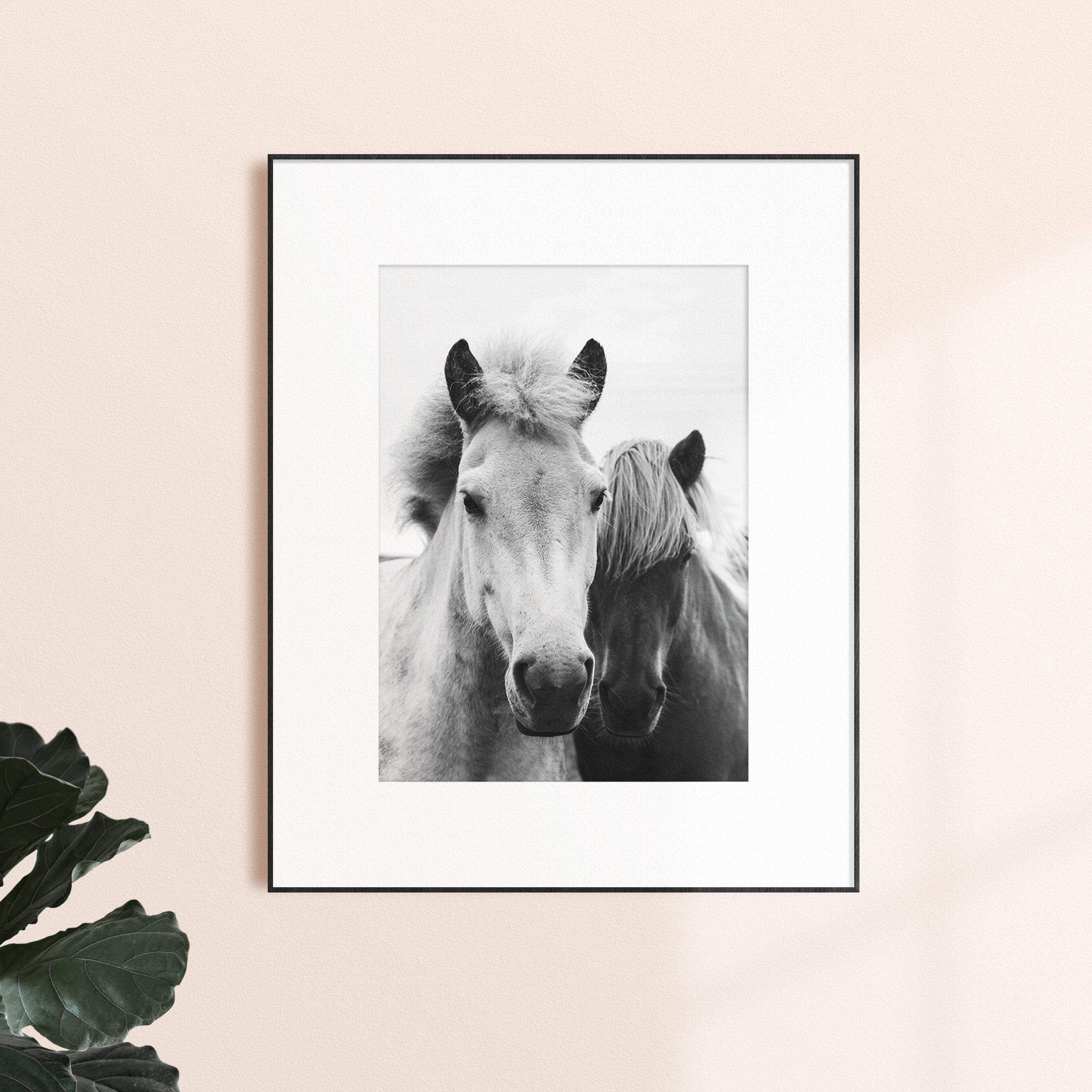 Black and White Horses Print Horse Portrait Wall Art DIGITAL | Etsy