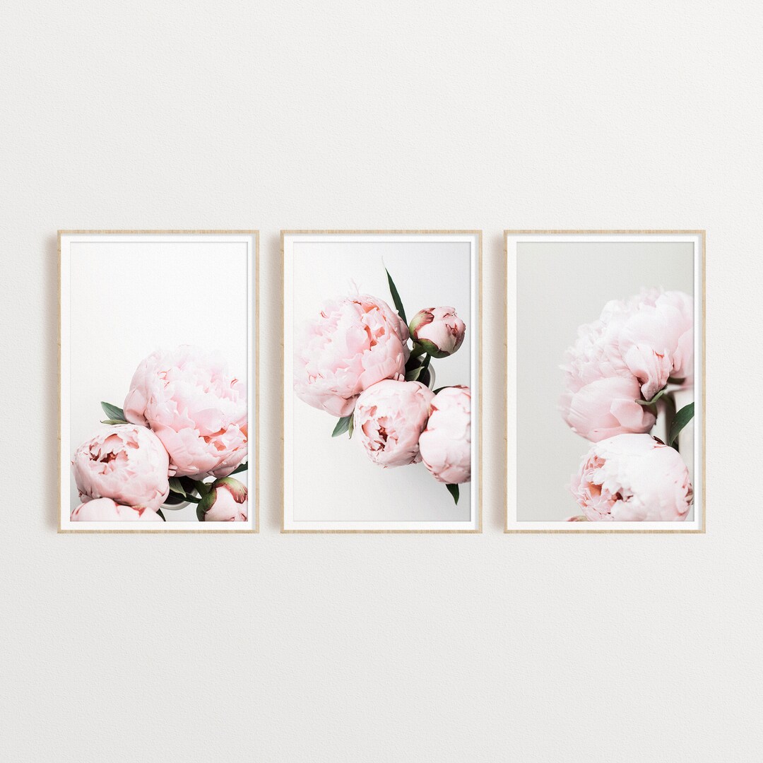 Set of 3 Pink Peonies Prints, Floral Wall Art Set, Gift for Her ...
