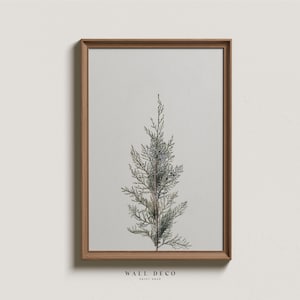 Juniper Branch Botanical Art Print: Farmhouse Christmas Decor (Digital Download)