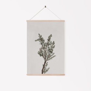 K&ouml;nnte beinhalten: Eine botanische Illustration eines Wacholderzweigs mit gr&uuml;nen Bl&auml;ttern und blauen Beeren. Die Illustration ist auf Leinwand gedruckt und mit einem Holzrahmen gerahmt.