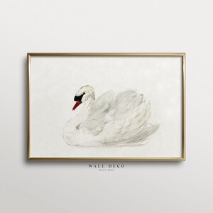 Arte de pintura de cisne antiguo, decoración de pared de guardería vintage, impresión de arte de acuarela de cisne, arte de pared IMPRIMIBLE digitalmente, póster de animales de guardería