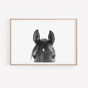 Horse Portrait Print, Black and White Horse Photography, Horse Wall Art, Farm Animal Print, Farmhouse Wall Decor, Digital Printable