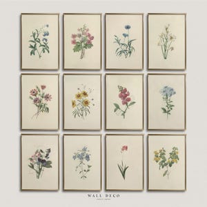 Vintage botanisches Set von 12 Drucken, antike Blumen Galerie Wandkunst, französisches Landhaus Drucke Set, blaue Blumen digitale druckbare Kunst