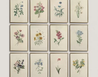 Vintage Botanical Prints Set: Antique French Floral Gallery Wall Art (Digital Download)
