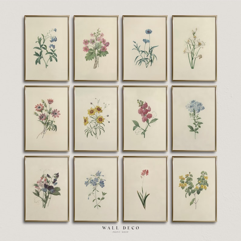 Vintage Botanical Prints Set: Antique French Floral Gallery Wall Art ...