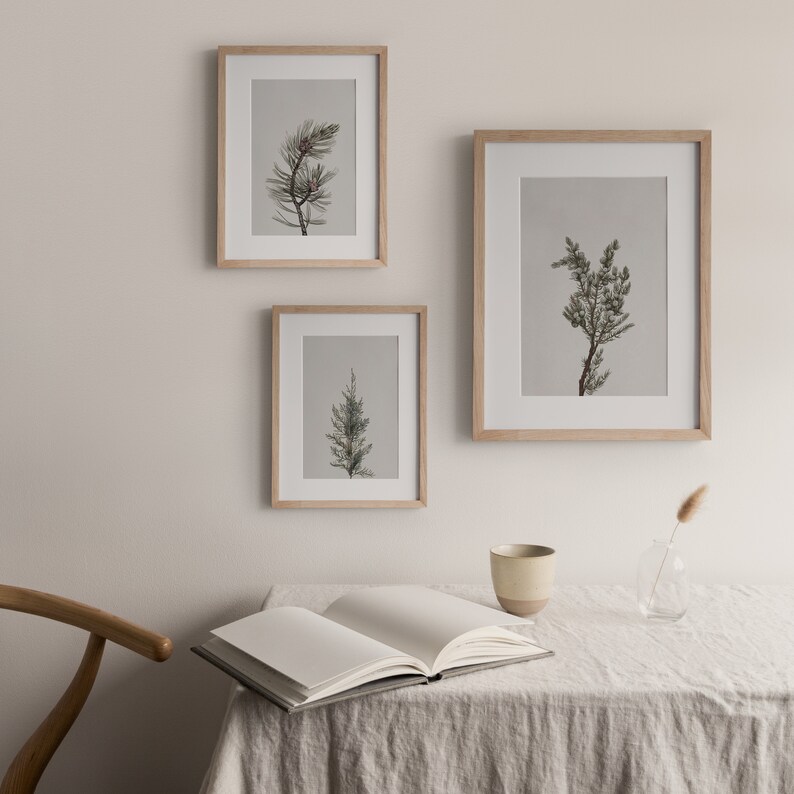 K&ouml;nnte beinhalten: Drei gerahmte botanische Drucke verschiedener Kiefernarten an einer wei&szlig;en Wand. Die Drucke sind in Holzrahmen mit hellbrauner Oberfl&auml;che. Die Rahmen sind versetzt angeordnet.