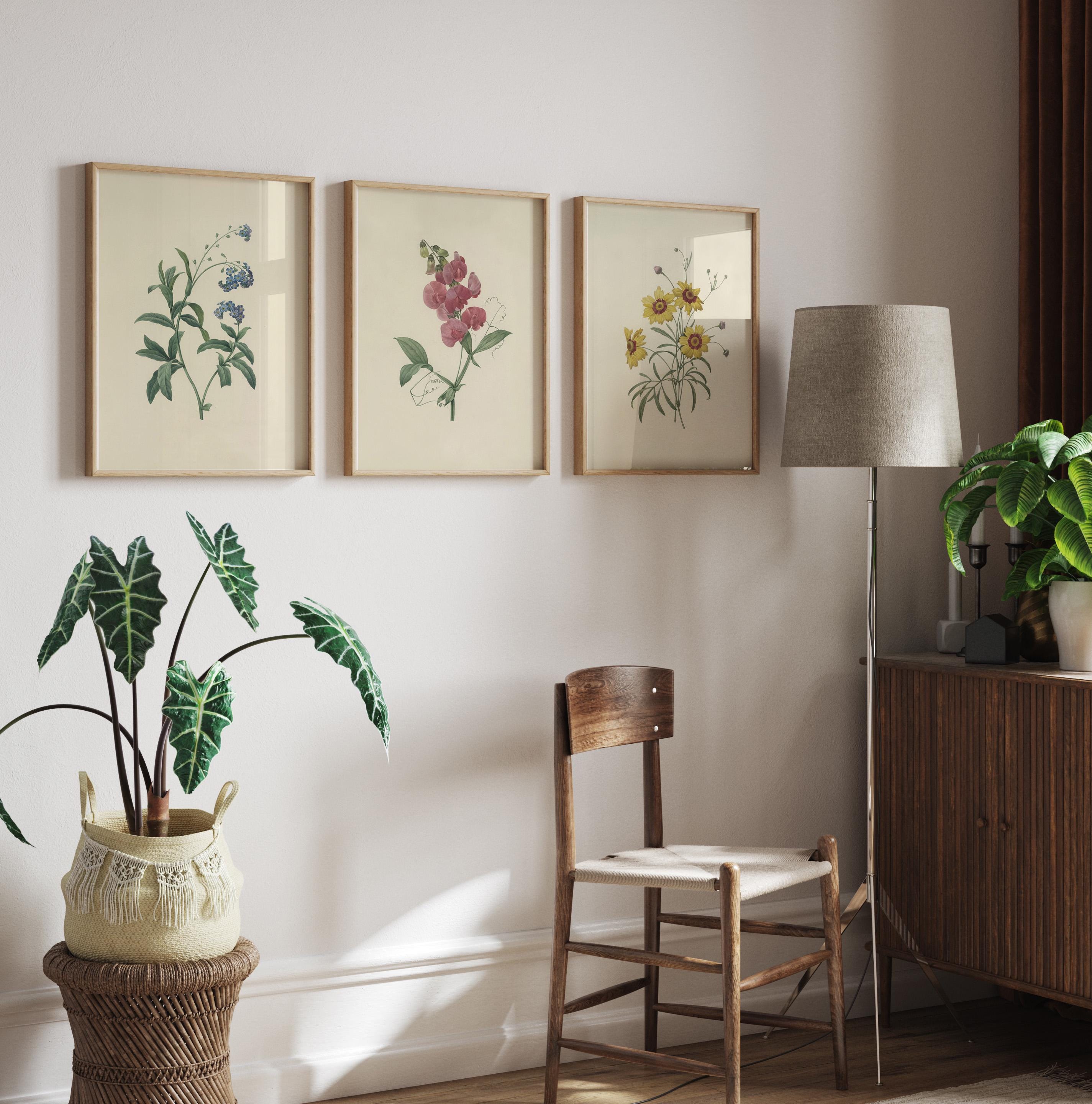 Vintage Botanical Prints Set: Antique French Floral Gallery Wall Art ...