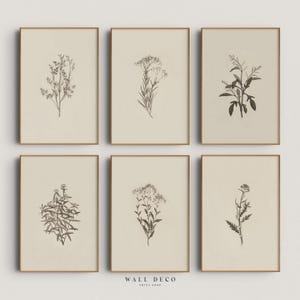 Mur de galerie de dessin botanique vintage, lot de 6 impressions de croquis botaniques minimalistes neutres, décoration murale imprimable numérique ferme moderne