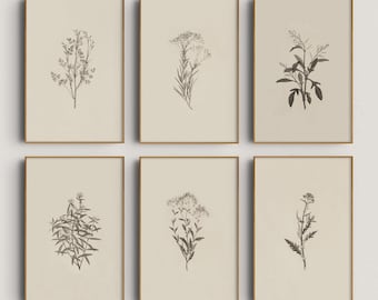 Botanical Sketch Print Set: Farmhouse Gallery Wall Art (Digital Download)