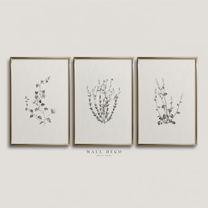 Vintage Botanical Sketch Set of 3 Prints, Neutral Flower Drawing Wall Art Set, Modern Farmhouse Gallery Wall Digital Printable Decor