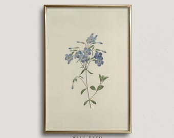 Vintage Blue Wildflower Print: Botanical Watercolor Illustration (Digital Download)