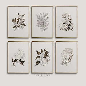 Galerie murale botanique vintage, lot de 6 impressions fleurs neutres, ensemble de gravures florales anciennes, décoration murale imprimable numérique, art mural ferme