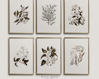 Vintage Botanical Prints Set: Neutral Floral Wall Gallery (Digital Printable)
